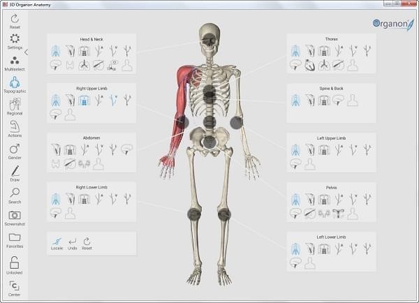 3d人体解剖学软件下载