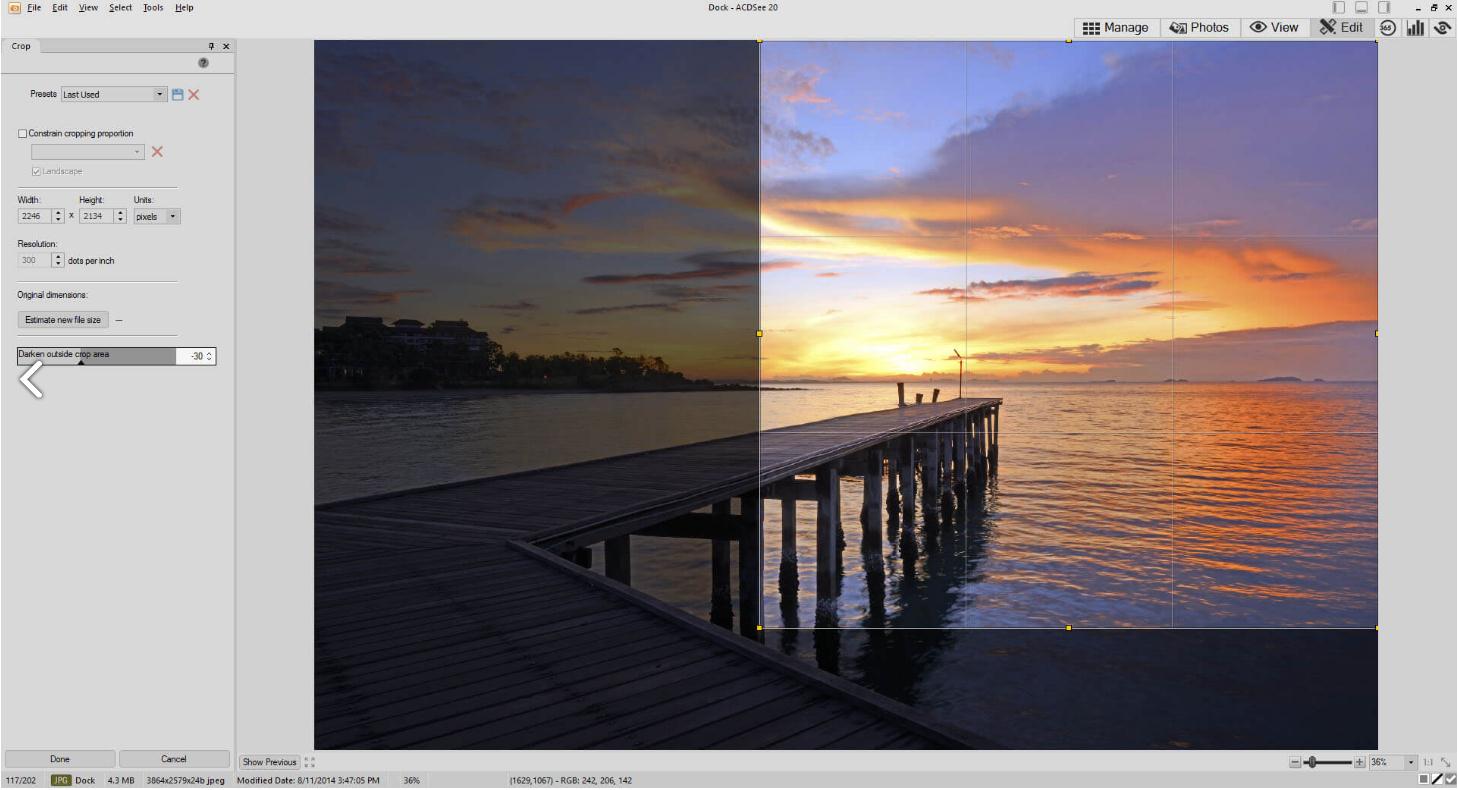 ACDSee 20 pro 破解版