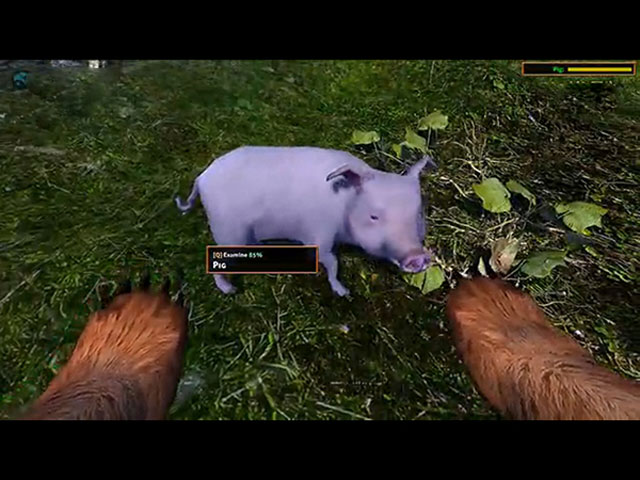 模拟狗熊中文版