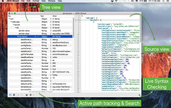 JSON Wizard Mac版