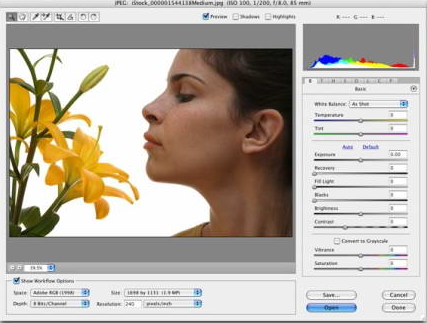 Adobe Camera Raw中文版