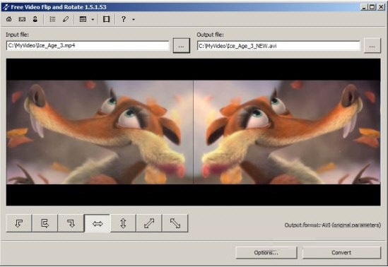 Free Video Flip and Rotation