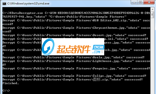 xdata病毒解密工具