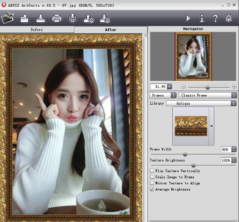 AKVIS ArtSuite