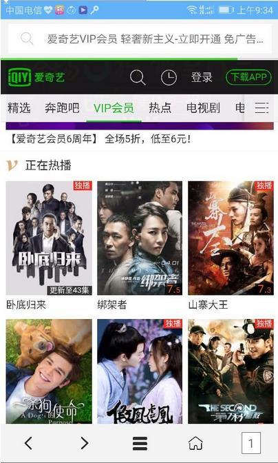 vip浏览器下载