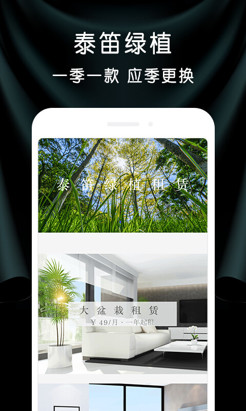 泰笛app