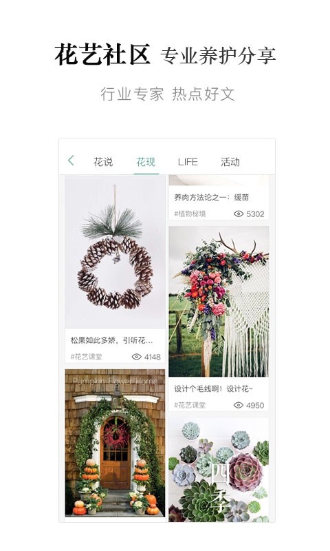 听花app