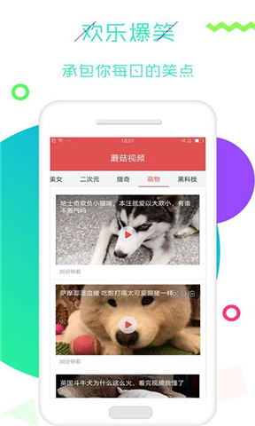 蘑菇视频app