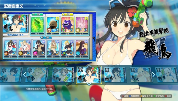 闪乱神乐沙滩戏水pc版