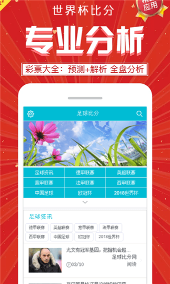 世界杯比分app