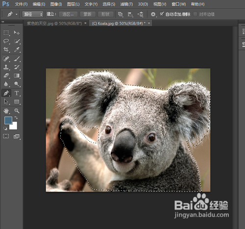 photoshop下载