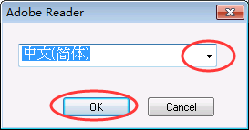 Adobe Reader X 下载 