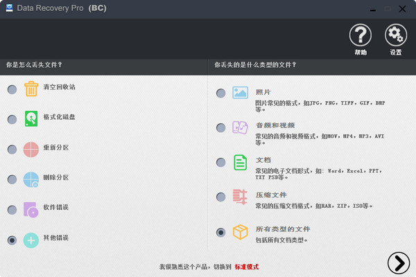 Data Recovery Pro