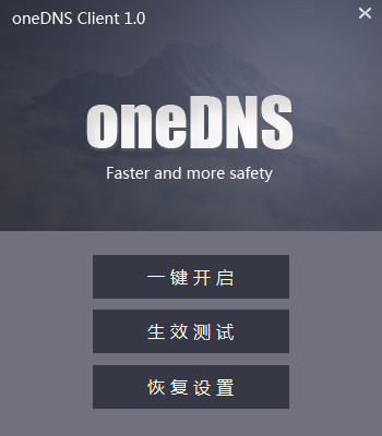 oneDNS
