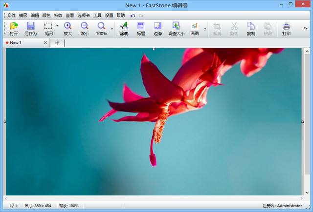 FastStone Capture下载
