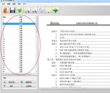 PDF页面锁