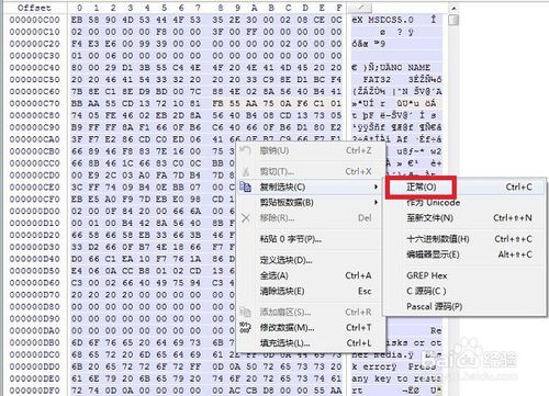 winhex中文版