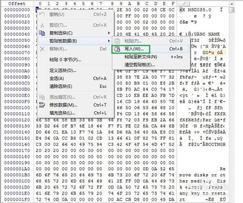 winhex中文版