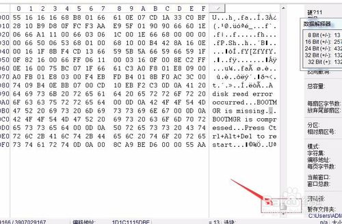 winhex中文版