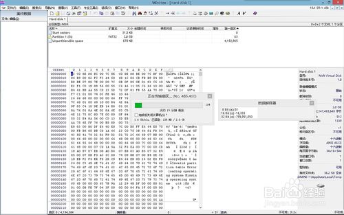 winhex中文版