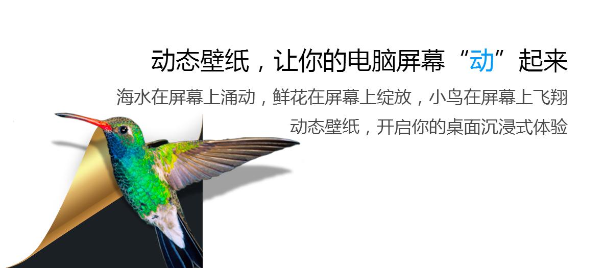 360小鸟壁纸