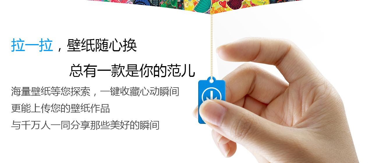 360小鸟壁纸