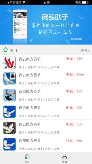 赛鸽助手
