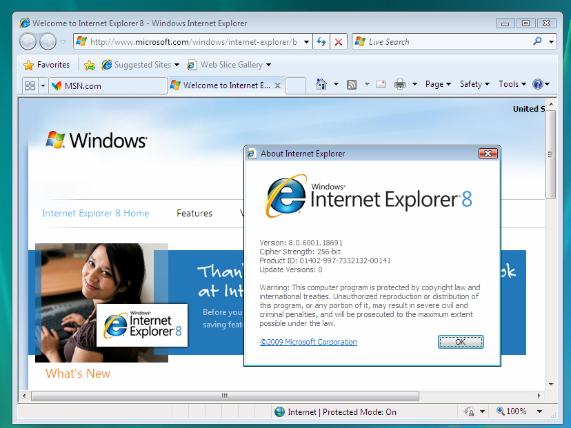 ie8中文版官方版