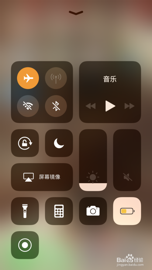 疯狂动物园