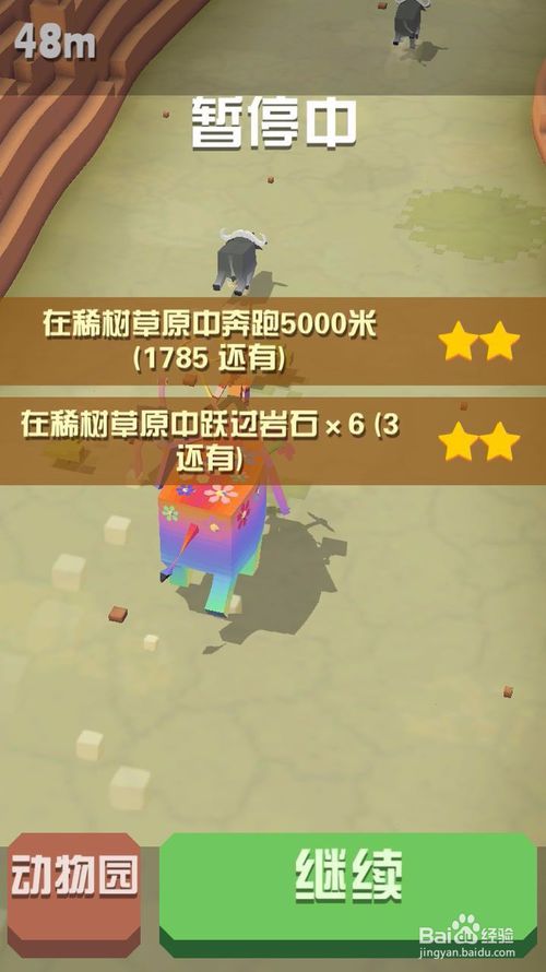 疯狂动物园