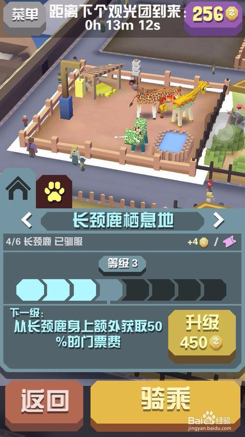 疯狂动物园