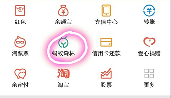 手机支付宝