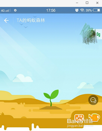 手机支付宝