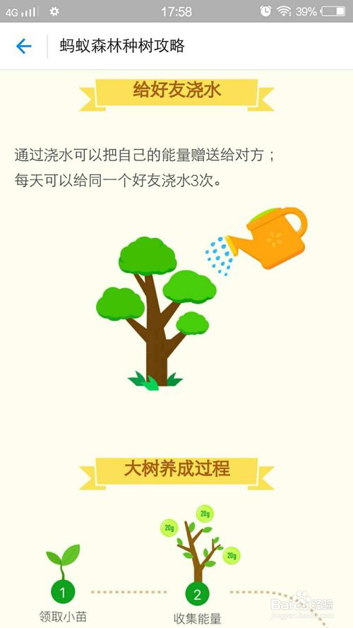 手机支付宝