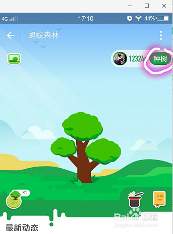 手机支付宝