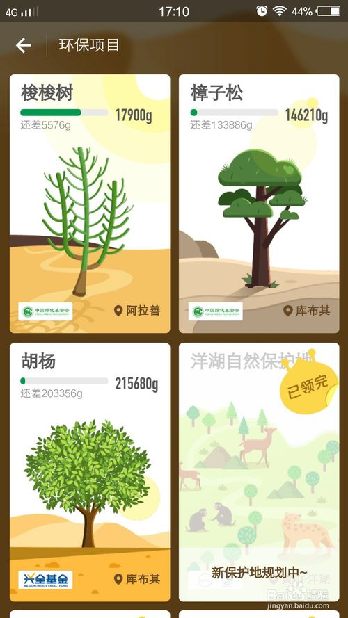 手机支付宝