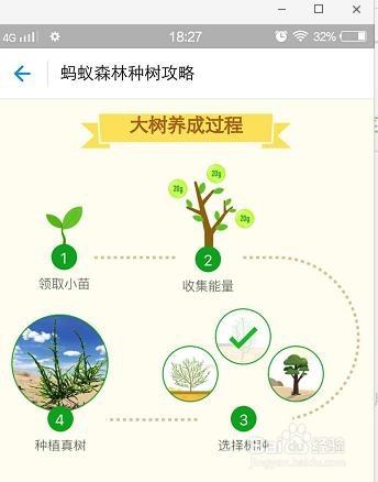 手机支付宝