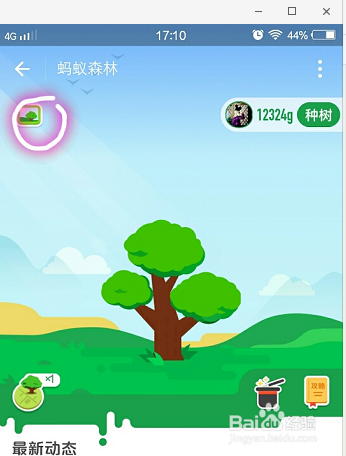 手机支付宝