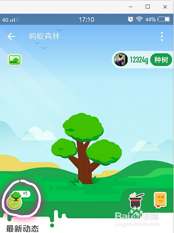 手机支付宝