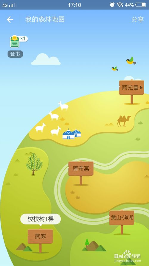手机支付宝