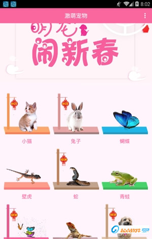 激萌猫咪桌面宠物app