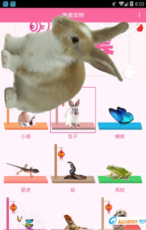 激萌猫咪桌面宠物app