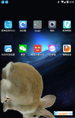 激萌猫咪桌面宠物app