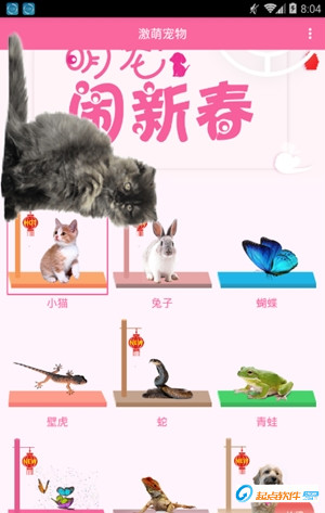 激萌猫咪桌面宠物app