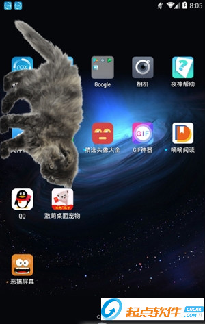 激萌猫咪桌面宠物app