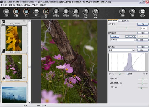 digital photo professional