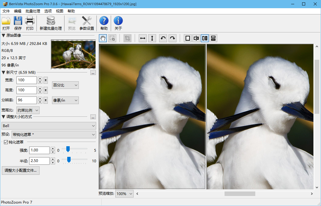 photozoom pro