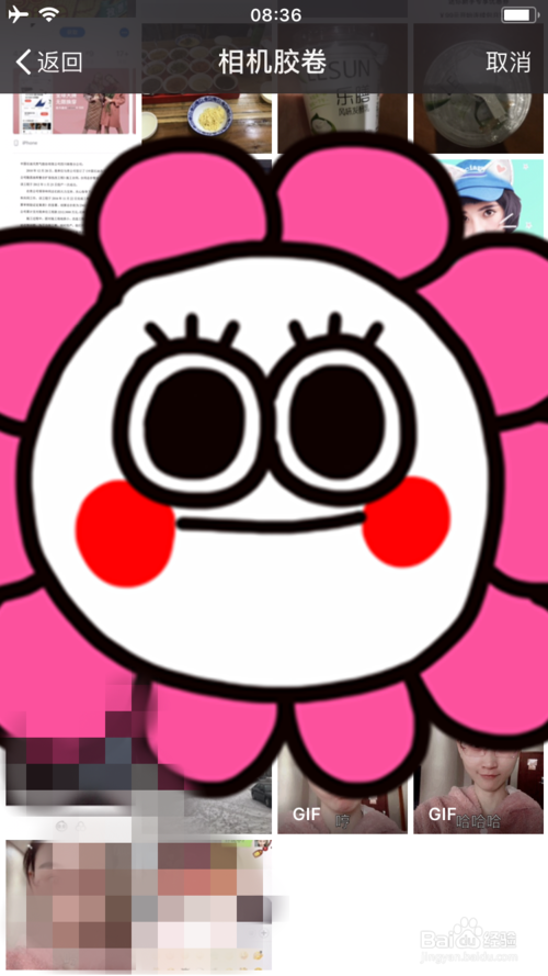 Faceu激萌app