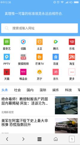 vip浏览器下载