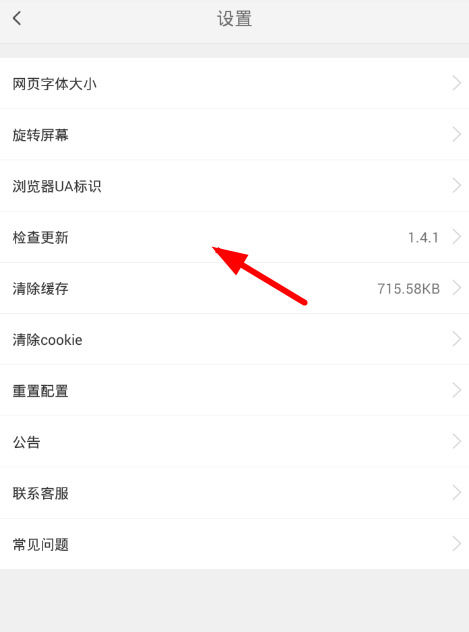 vip浏览器下载